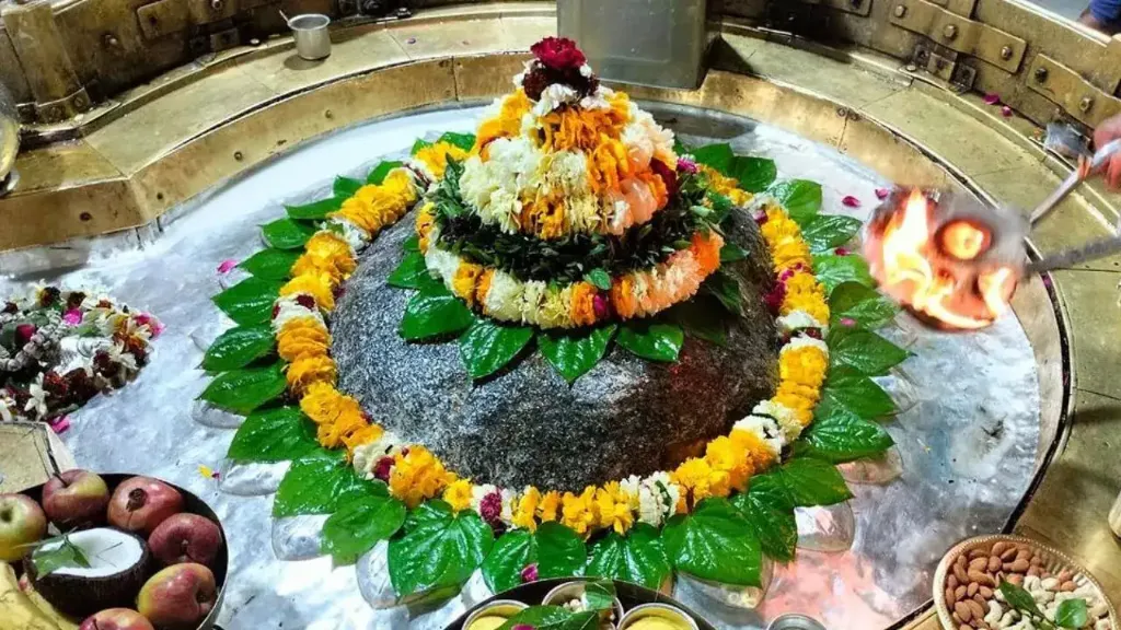 धार्मिक अनुष्ठान (शुद्धि:शांति) (Rudrabhishek)